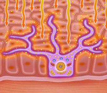 3. It Fights Chronic Skin Inflammation